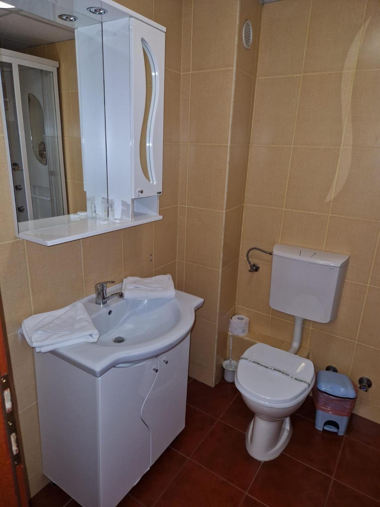 Hotel Francesca Тімішоара Екстер'єр фото